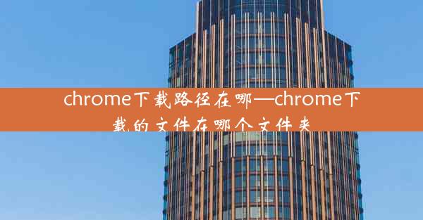 chrome下载路径在哪—chrome下载的文件在哪个文件夹