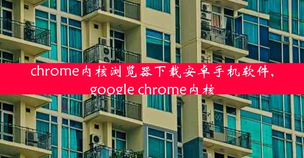 chrome内核浏览器下载安卓手机软件,google chrome内核