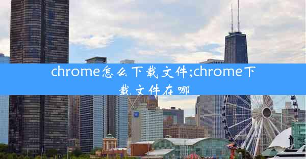 chrome怎么下载文件;chrome下载文件在哪