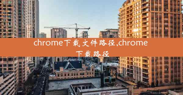 chrome下载文件路径,chrome 下载路径