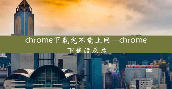 chrome下载完不能上网—chrome下载没反应