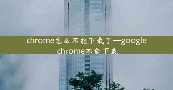 chrome怎么不能下载了—google chrome不能下载