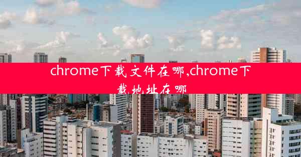 chrome下载文件在哪,chrome下载地址在哪