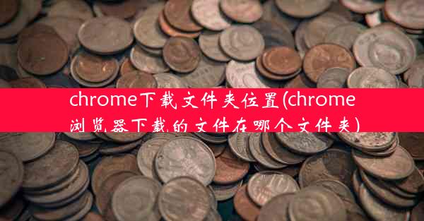 chrome下载文件夹位置(chrome浏览器下载的文件在哪个文件夹)