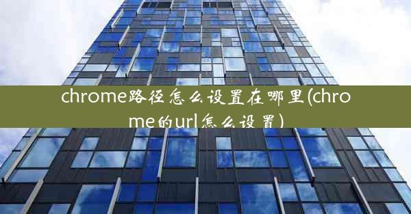 chrome路径怎么设置在哪里(chrome的url怎么设置)