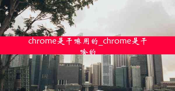 chrome是干嘛用的_chrome是干啥的