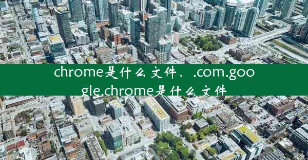 chrome是什么文件、.com.google.chrome是什么文件