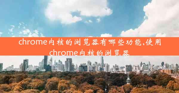 chrome内核的浏览器有哪些功能,使用chrome内核的浏览器