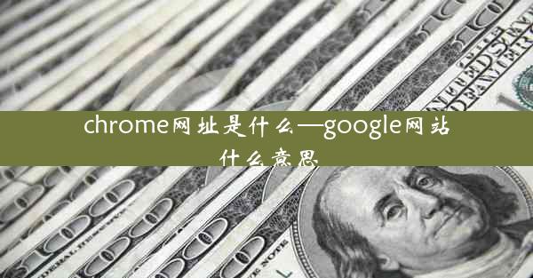 chrome网址是什么—google网站什么意思