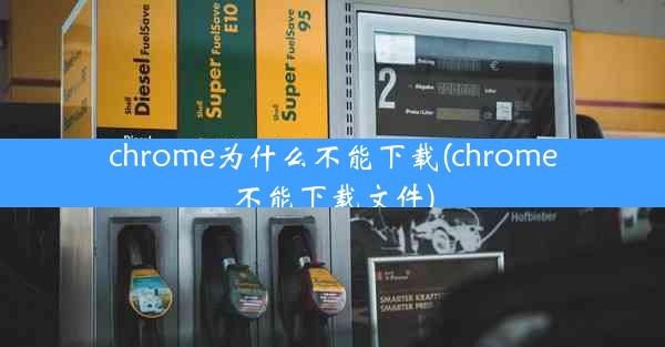 chrome为什么不能下载(chrome不能下载文件)