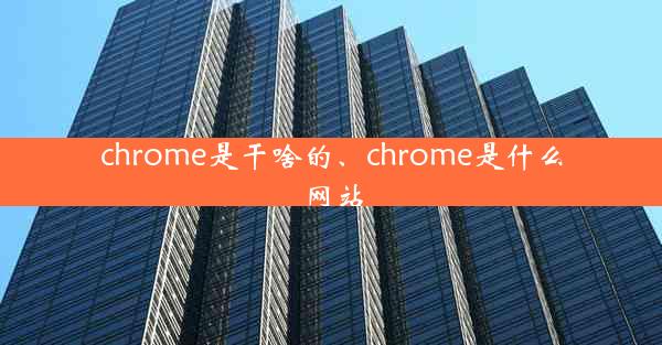 chrome是干啥的、chrome是什么网站