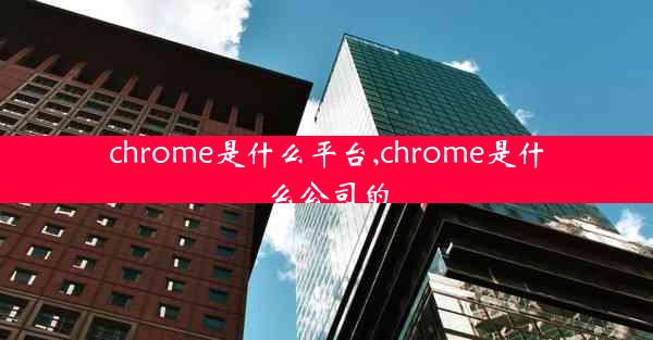 chrome是什么平台,chrome是什么公司的