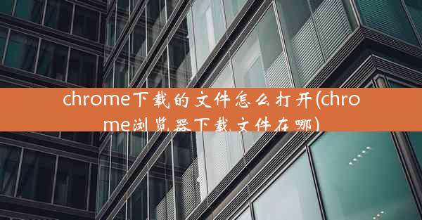 chrome下载的文件怎么打开(chrome浏览器下载文件在哪)