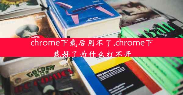 chrome下载后用不了,chrome下载好了为什么打不开