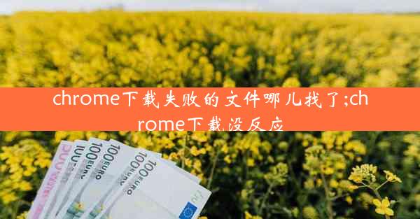 chrome下载失败的文件哪儿找了;chrome下载没反应