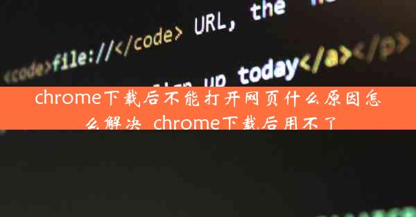 chrome下载后不能打开网页什么原因怎么解决_chrome下载后用不了