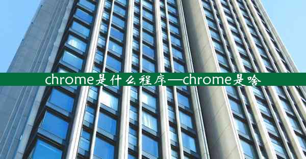 chrome是什么程序—chrome是啥