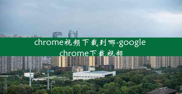 chrome视频下载到哪-google chrome下载视频