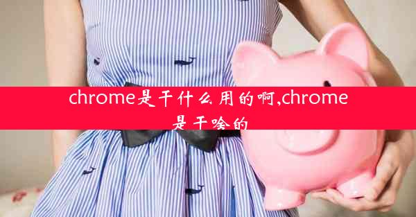 chrome是干什么用的啊,chrome是干啥的