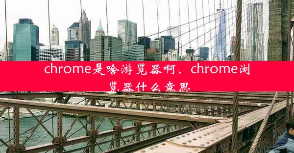 chrome是啥游览器啊、chrome浏览器什么意思