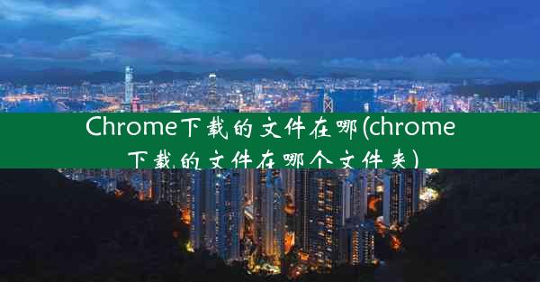 Chrome下载的文件在哪(chrome下载的文件在哪个文件夹)