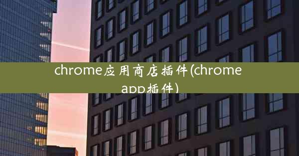 chrome应用商店插件(chrome app插件)