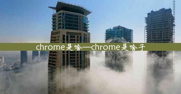 chrome是啥—chrome是啥子