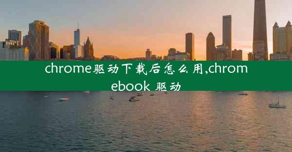 chrome驱动下载后怎么用,chromebook 驱动