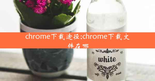 chrome下载途径;chrome下载文件在哪