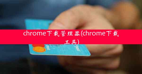 chrome下载管理器(chrome下载工具)